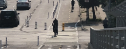 image of the Harney street bikeway showing two cyclists riding in the bikeway separated by bollards from cars